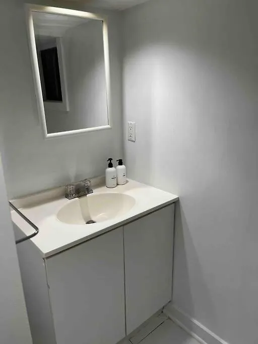 Downtown Basement Suite Toronto Apartment
